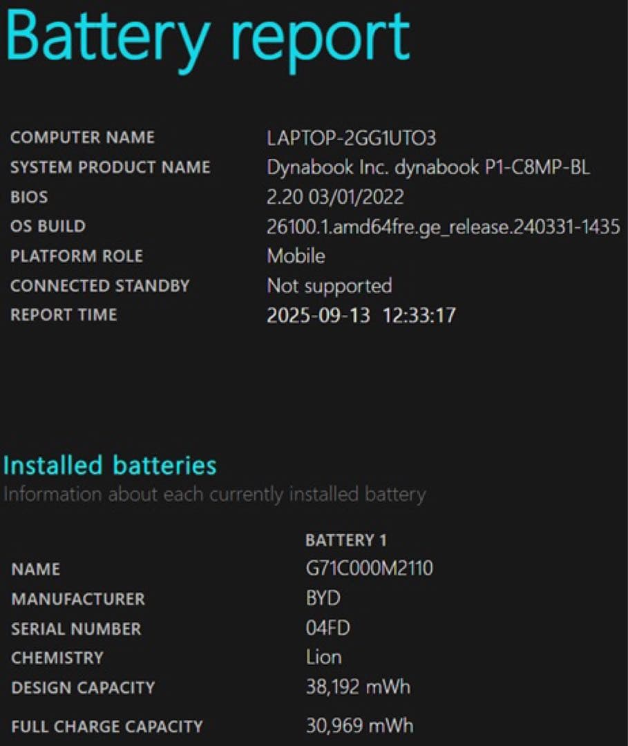 Windowsノート本体 dynabook P1-C8MP-BL i7 10710U SSD 4TB