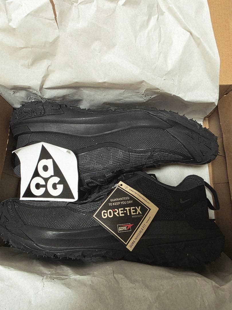 NIKE ACG Mountain Fly 2 Low GTX 28.5㎝