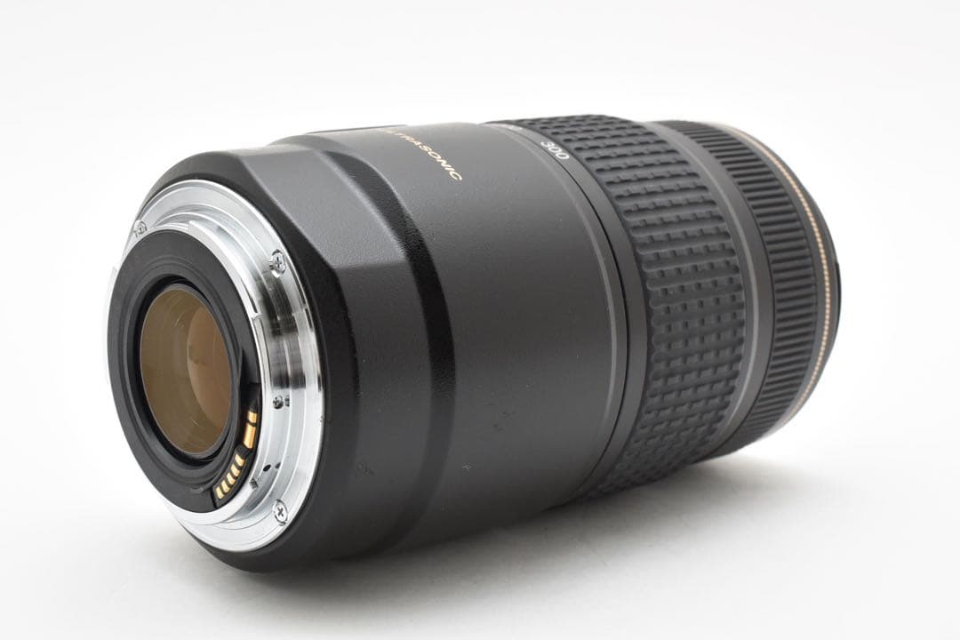 【美品】キヤノン CANON EF 75-300mm IS USM