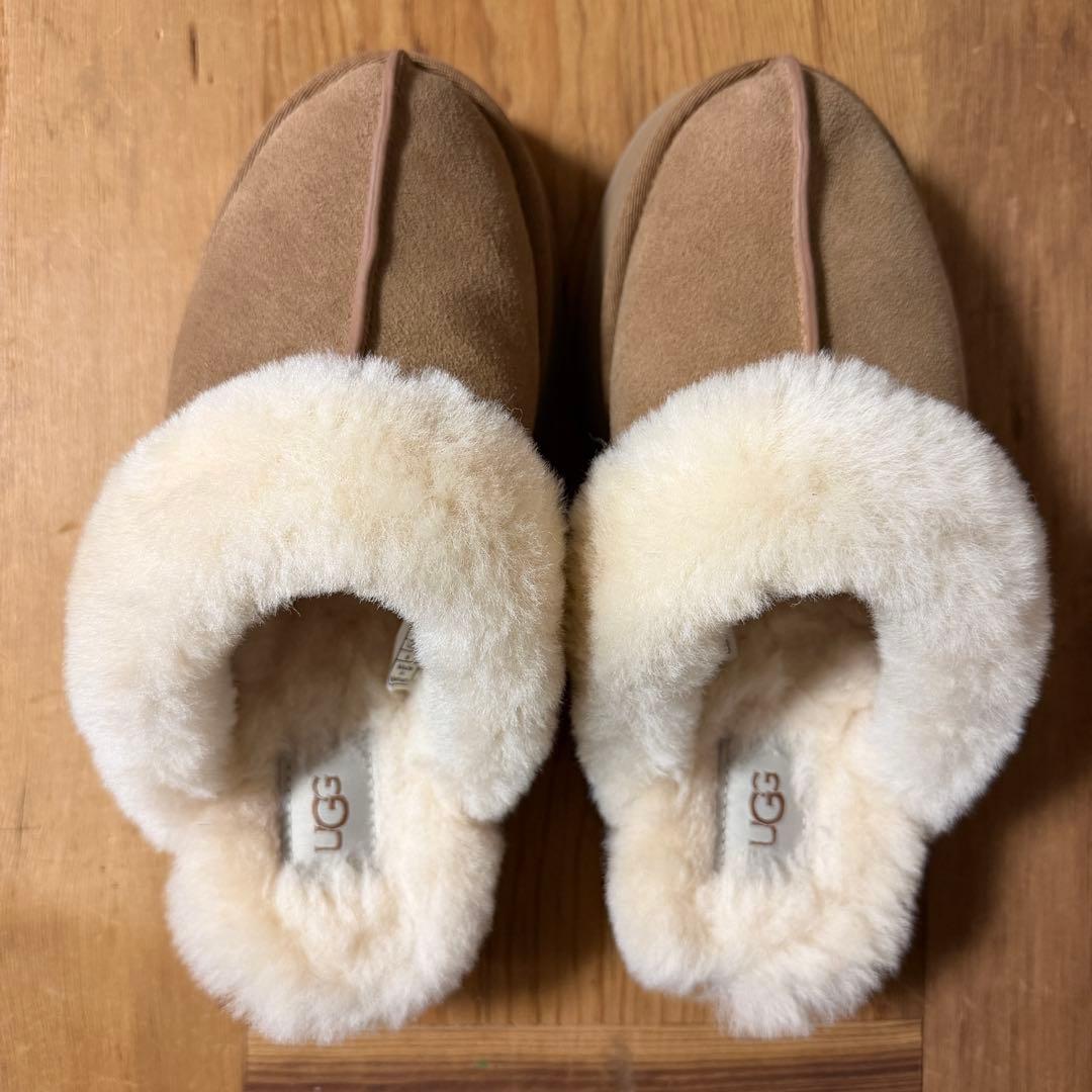 【美品】UGG Disquette ディスケット 25.0cm アグ