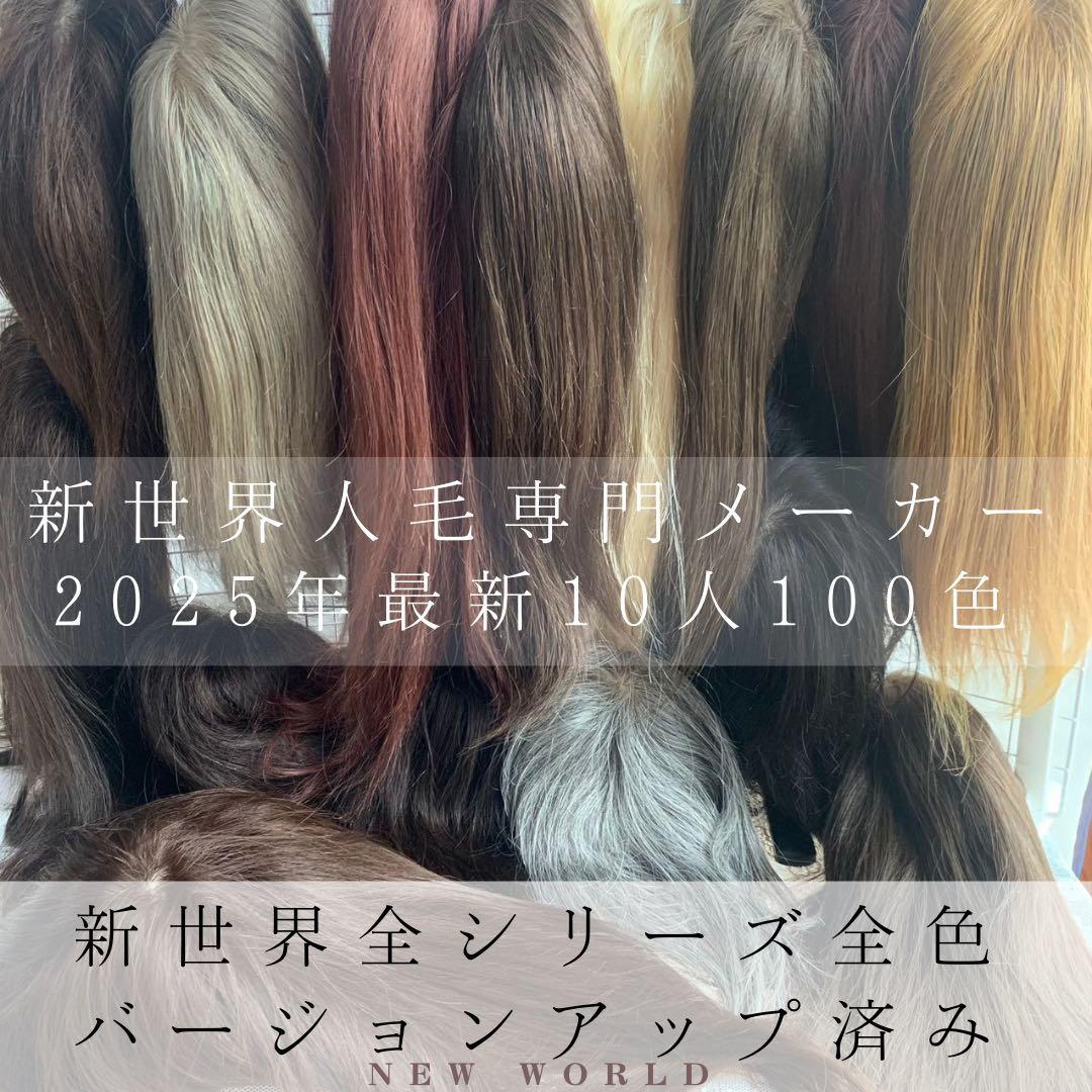 新世界プレミア真皮シリーズ★全人毛　ヘアピース　ウィッグ15*17総手植え45㌢