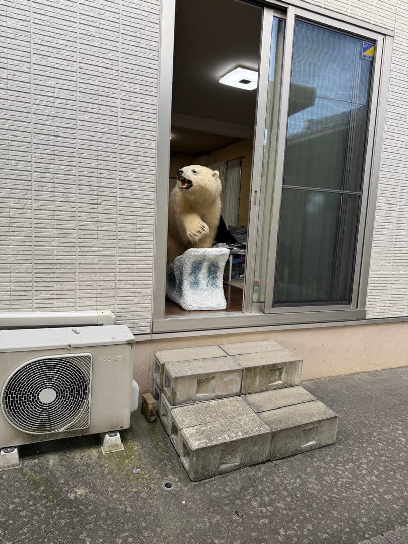 白熊剥製レプリカ