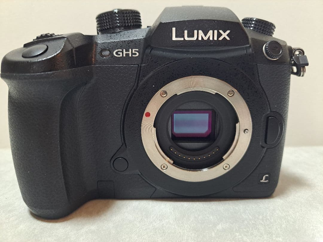 最終価格！LUMIX GH5 ミラーレス一眼 本体　付属品　おまけあり