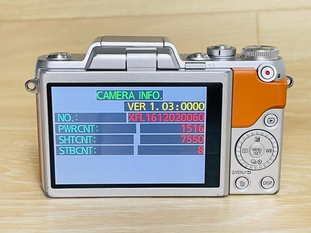 【ショット数7,550回】 美品 Panasonic LUMIX DMC-GF7