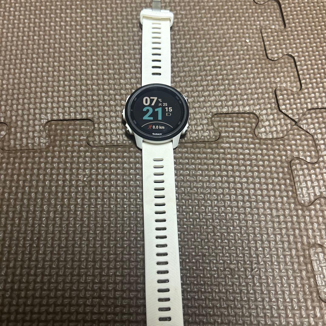 その他 Garmin245music