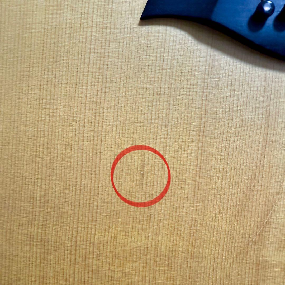 【価格以上の音】 Taylor 210e エレアコ ケース付