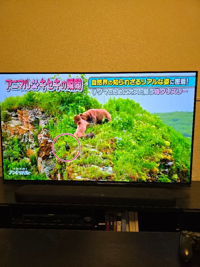 【引取限定】東芝REGZA55型 55X8900L 有機ELテレビ