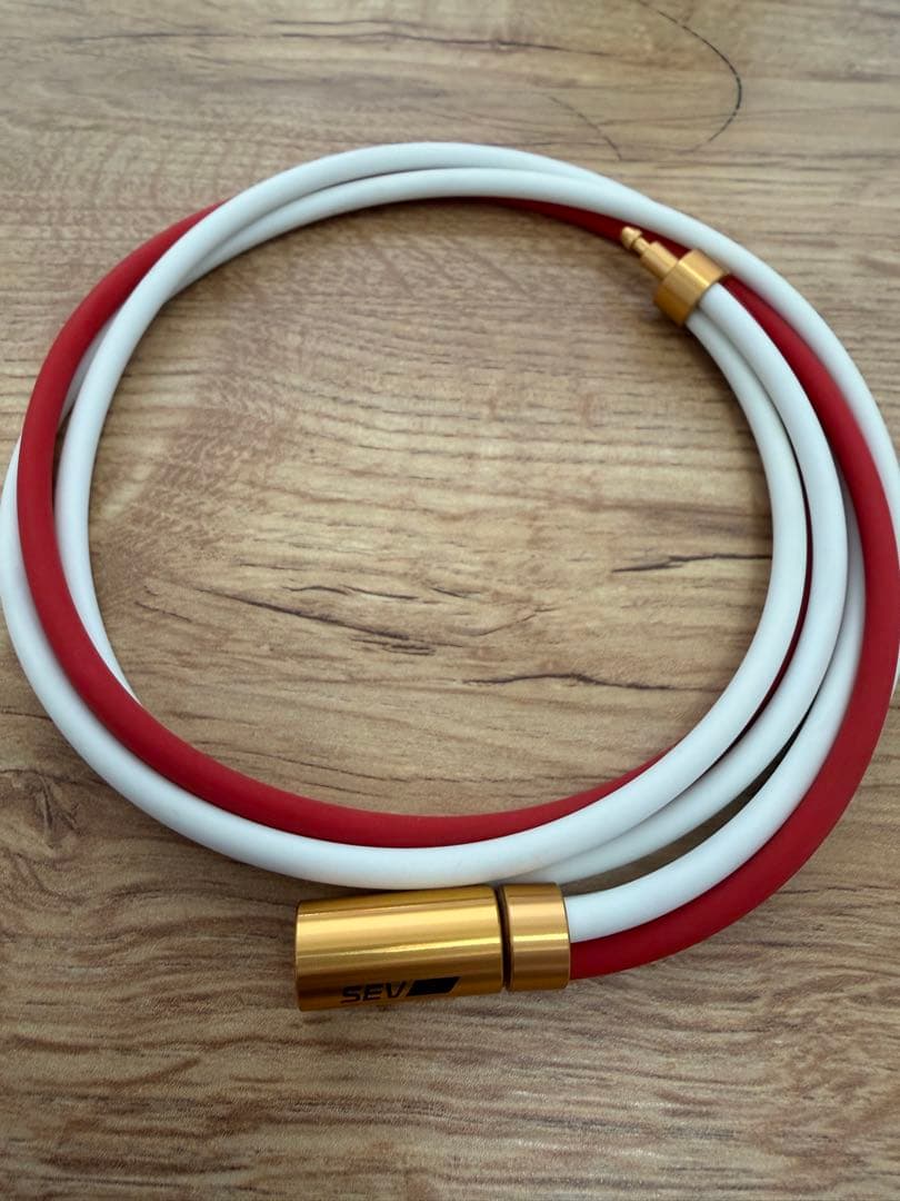 【美品】SEVルーパー　3G サイズ46