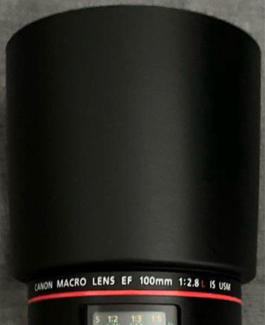 Canon EF 100mm f/2.8L Macro IS USM キャノン