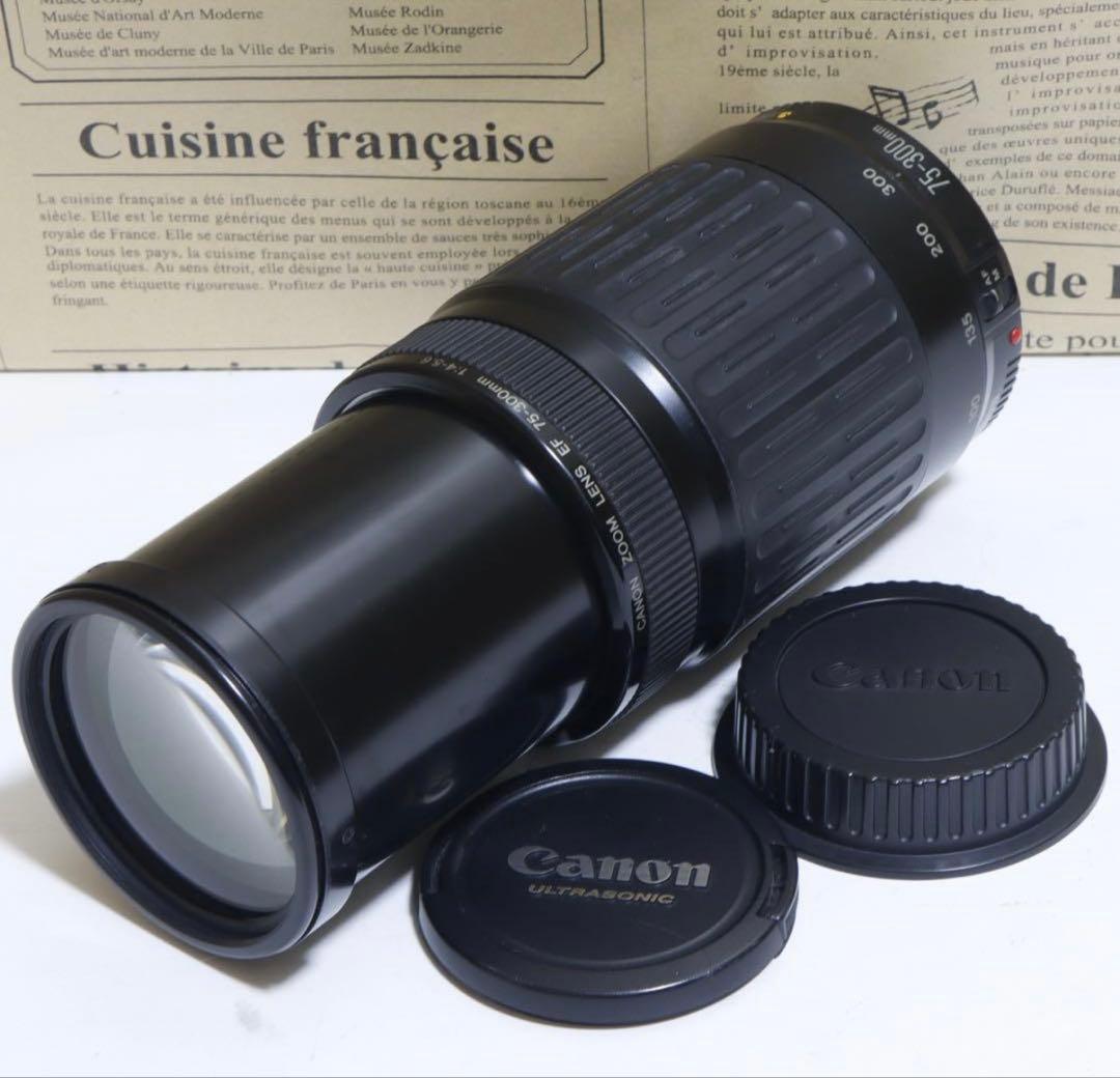 ☆こぐも☆本格入門機!!⭐︎ キャノン EOS 20D&望遠セット♫