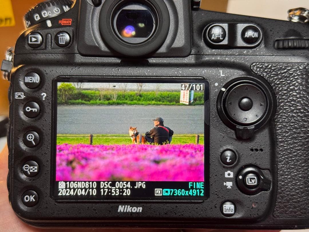 中古のNikon D810 ボディ