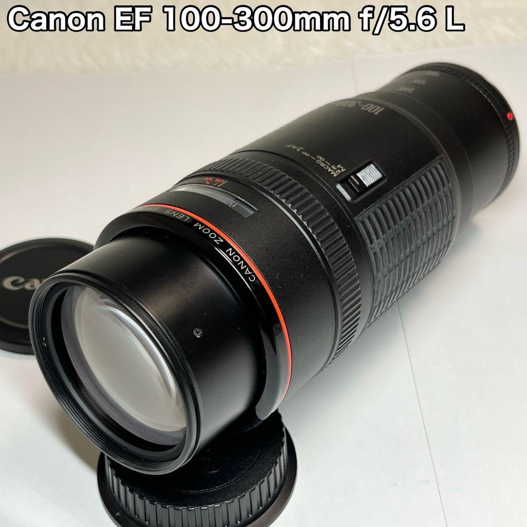 Canon キャノン EF 100-300mm f/5.6 L 望遠レンズ