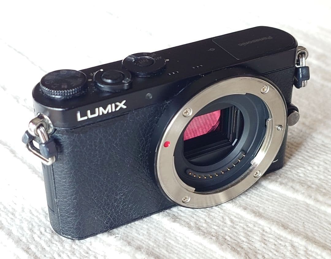 【極美品】LUMIX DMC-GM1 1600万画素 ボディ 最小・最軽量