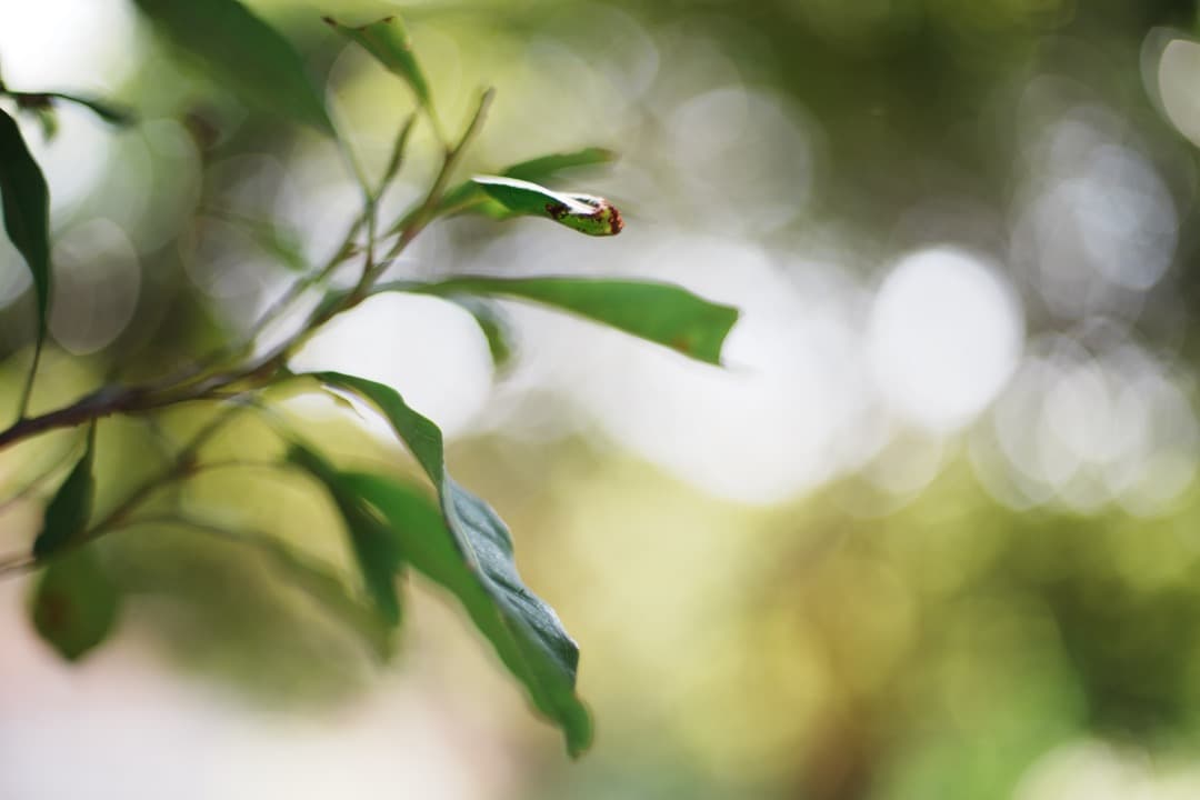 【極美品】動作◎ ニコン　Ai Nikkor 50mm F1.4 169