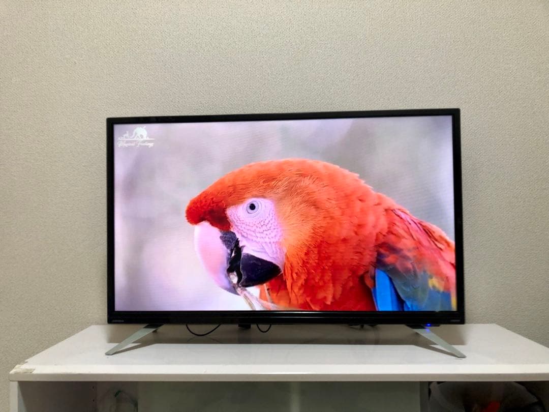 DOL32H100 32型液晶テレビ amazon stick 付き