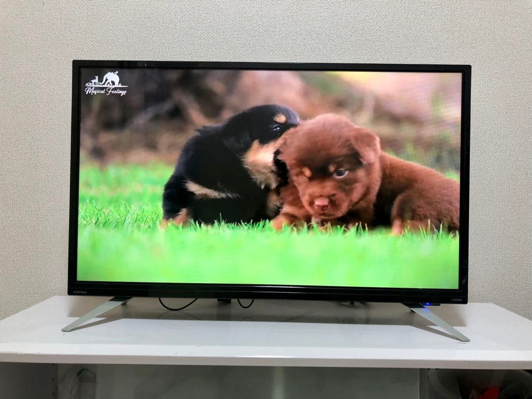 DOL32H100 32型液晶テレビ amazon stick 付き