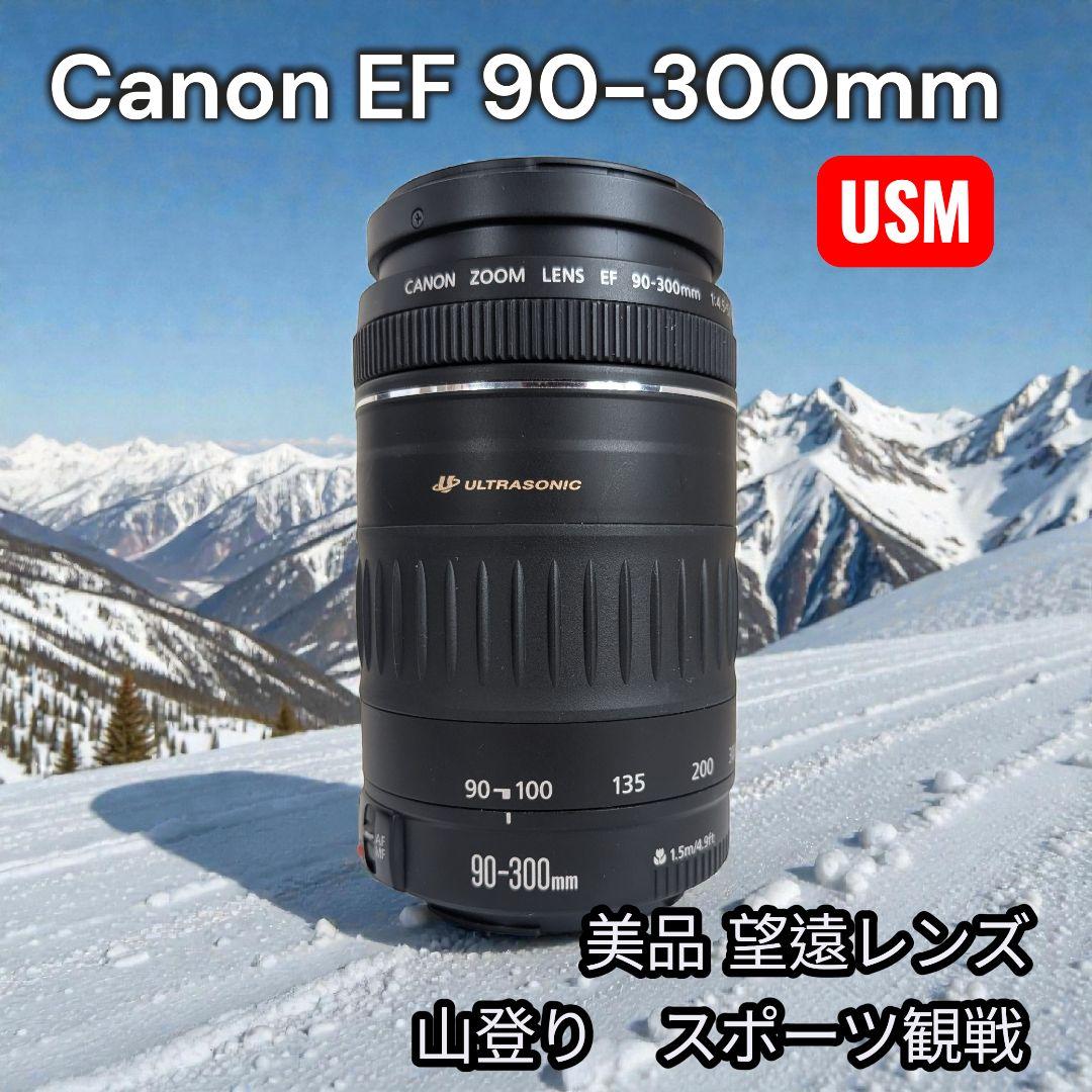 【爆速AF】Canon EF 90-300mm F4.5-5.6 USM 超望遠