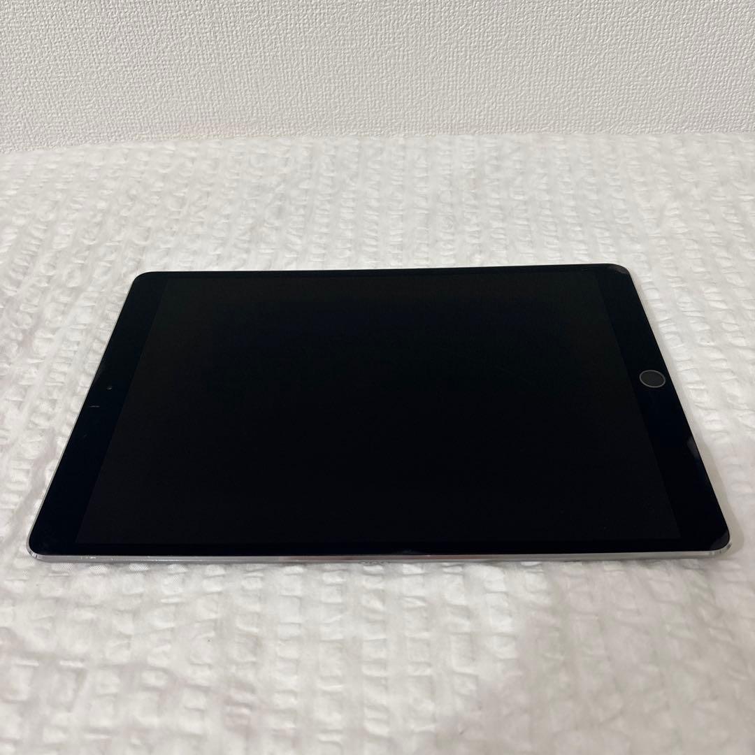Apple iPad Pro 10.5インチ 純正Apple Pencil付き