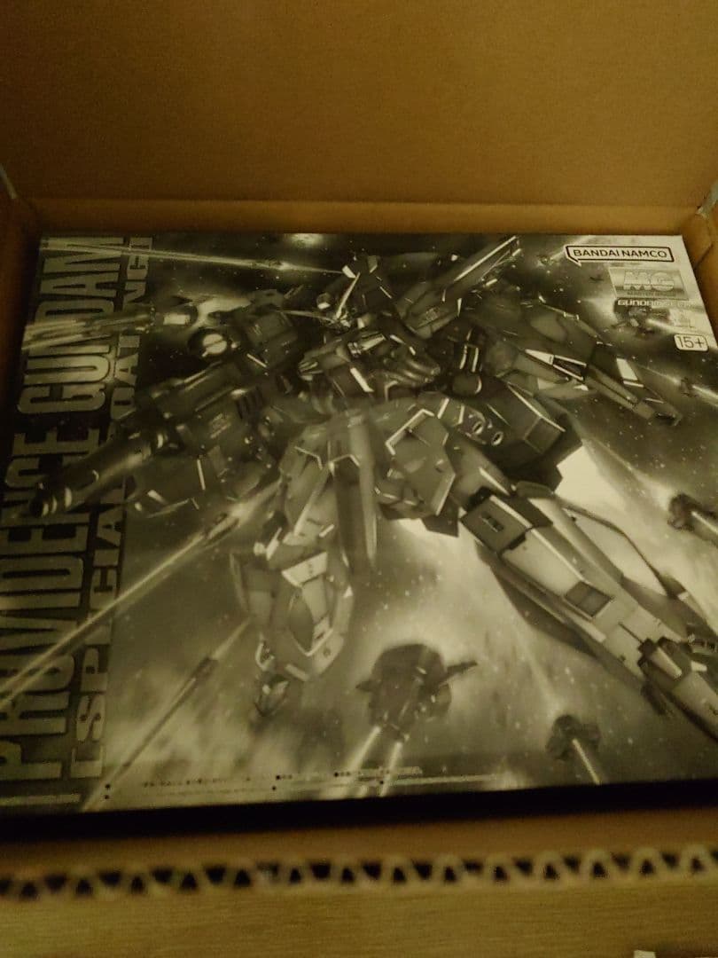 【新品未開封品】 MG プロヴィデンスガンダム スペシャルコーティング