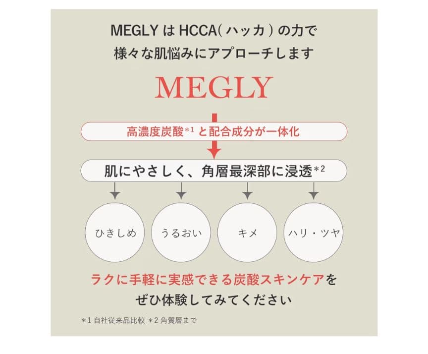 MTG MEGLY本体＋専用ガス4本＋No.0化粧水1本セット