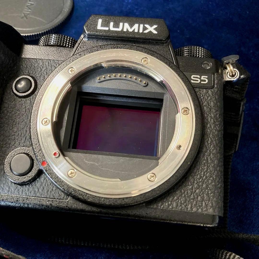Panasonic Lumix S5 ミラーレス一眼カメラ