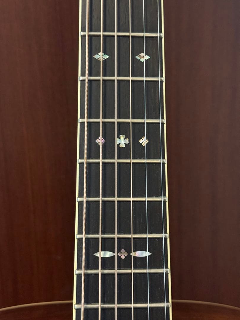 S-yairi YD-42/Nオール単板純正ハードケース付き