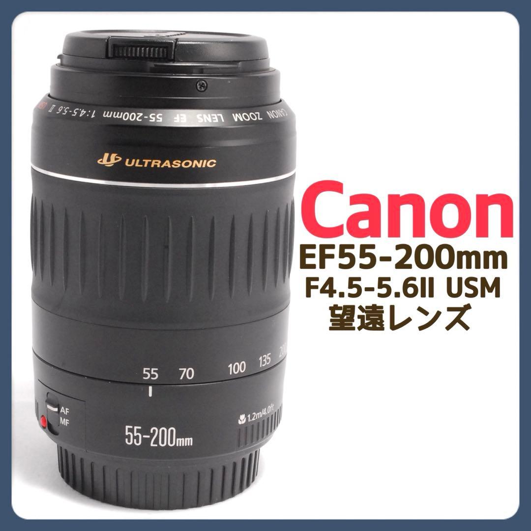 良品✨Canon EF55-200mm F4.5-5.6 USM✨望遠レンズ