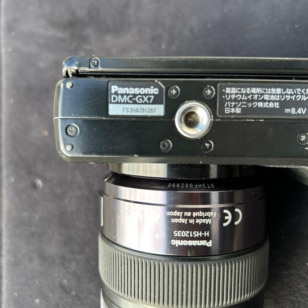 パナソニックGX7とLUMIX G h-hs12035