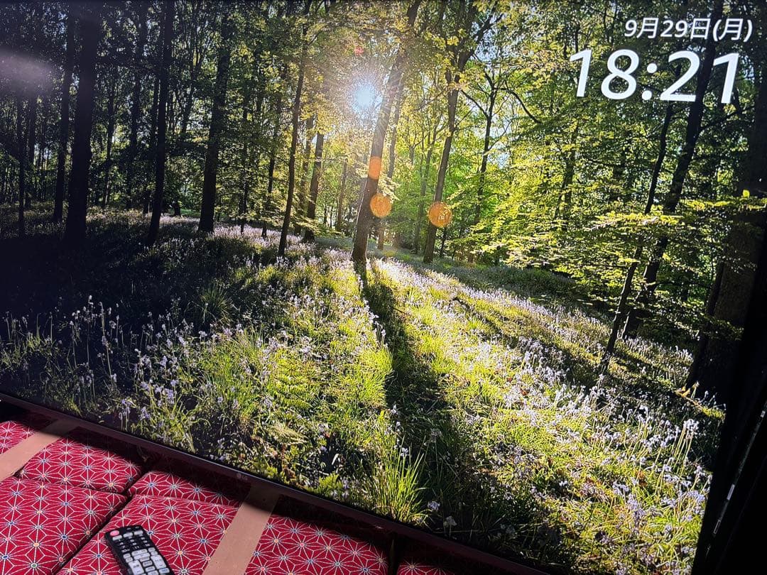 LG 55型　4Kスマート液晶テレビ　55UM7500PJA 2019年製　美品