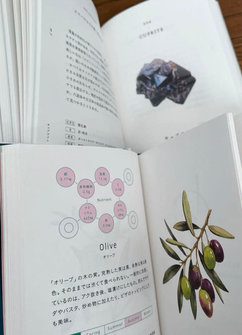 雷鳥社 辞典　海　空　星　草　花　色　石　菜　紋　菓子