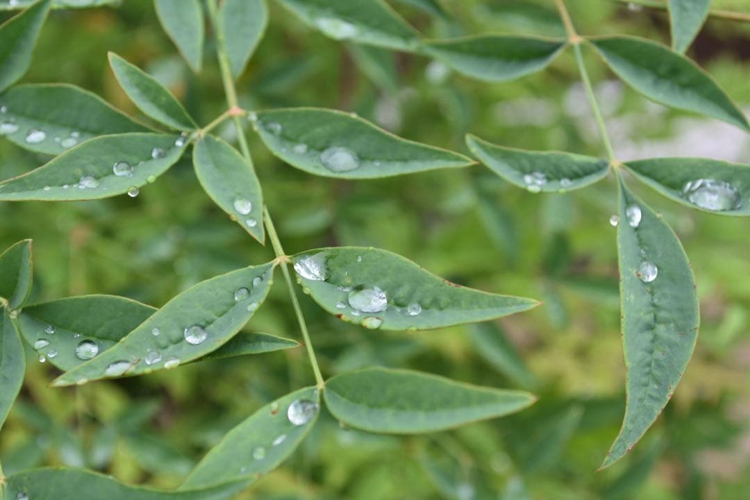 Nikon D3400赤★スマホ転送対応◎初心者に嬉しいBluetoothモデル