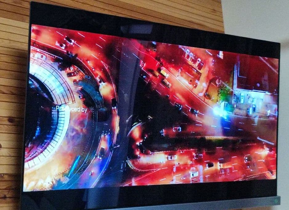 東芝　REGZA　4K有機ELテレビ　 21年 タイムシフトマシン搭載 HDD付