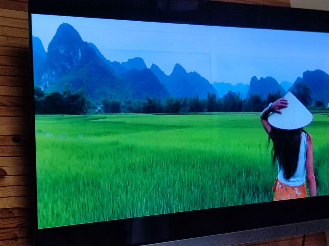 東芝　REGZA　4K有機ELテレビ　 21年 タイムシフトマシン搭載 HDD付