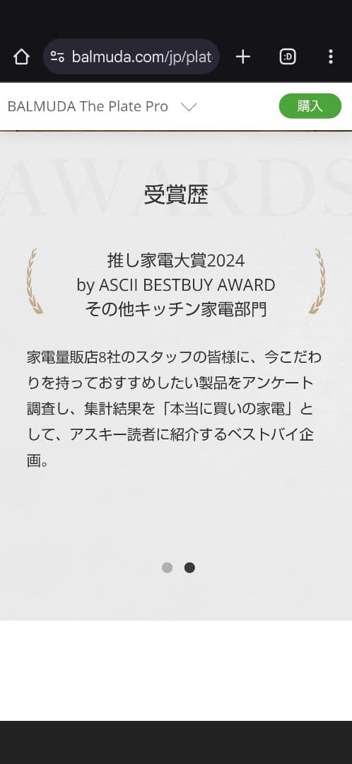 BALMUDA The Plate Pro ホットプレート　☆新品未開封品☆