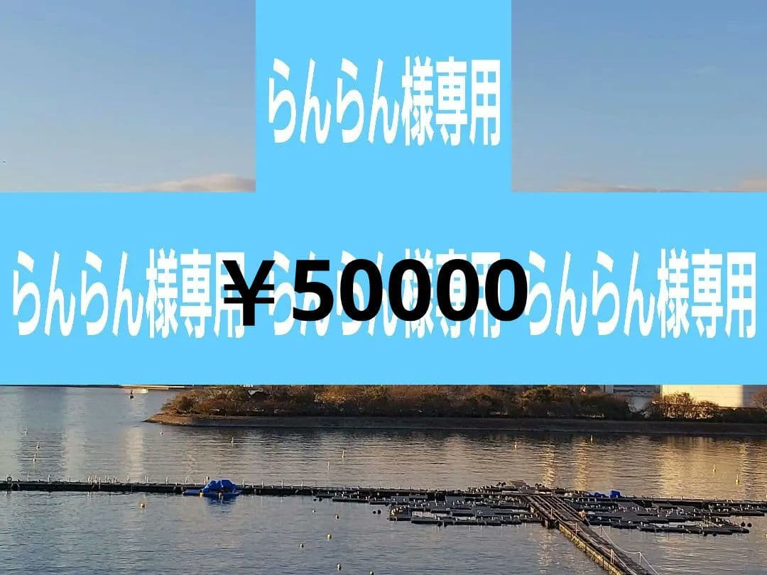 社交ダンス　Gentil　ジャンティ　美品 スタンダードドレス　社交ダンス衣装