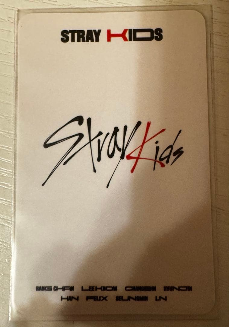 straykids ヒョンジン go生 中華 withfans