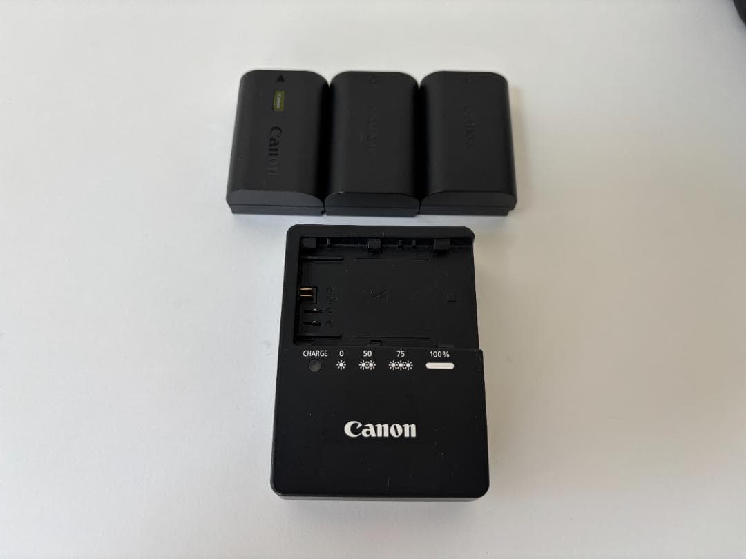 【美品完動品】Canon EOS 80D デジタル一眼レフカメラ