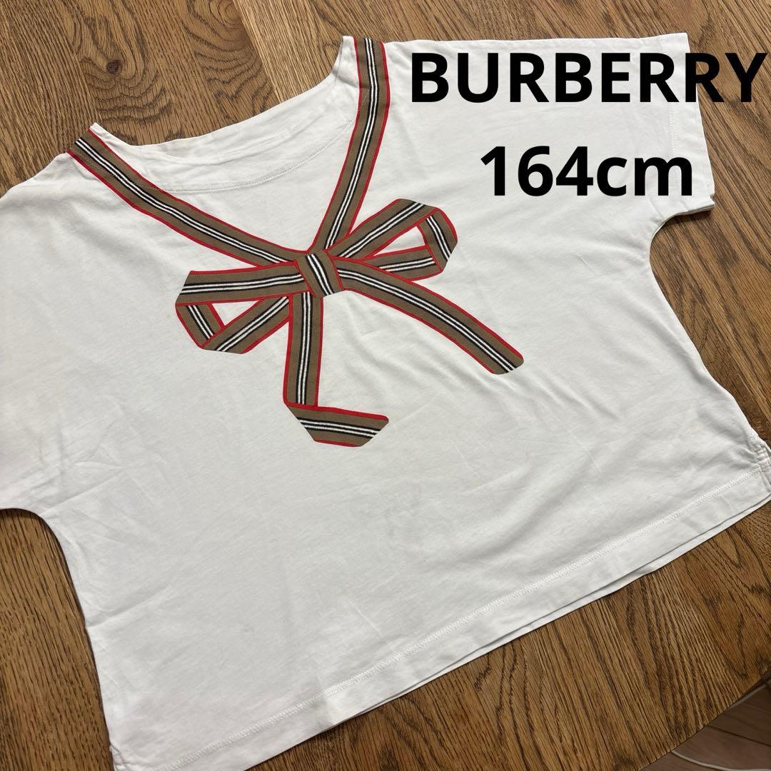 バーバリー　Burberry １４Ｙ
