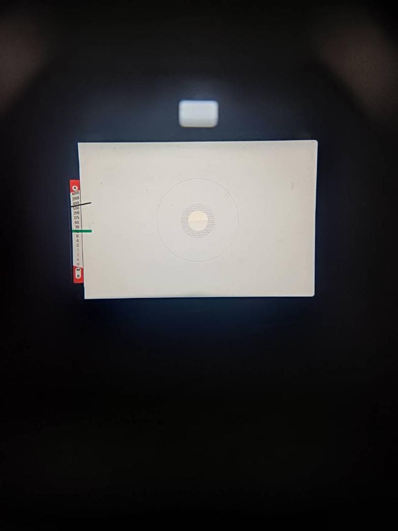 超美品 NIKON FE2 ブラック フィルムカメラ　モルト新品交換済 H242