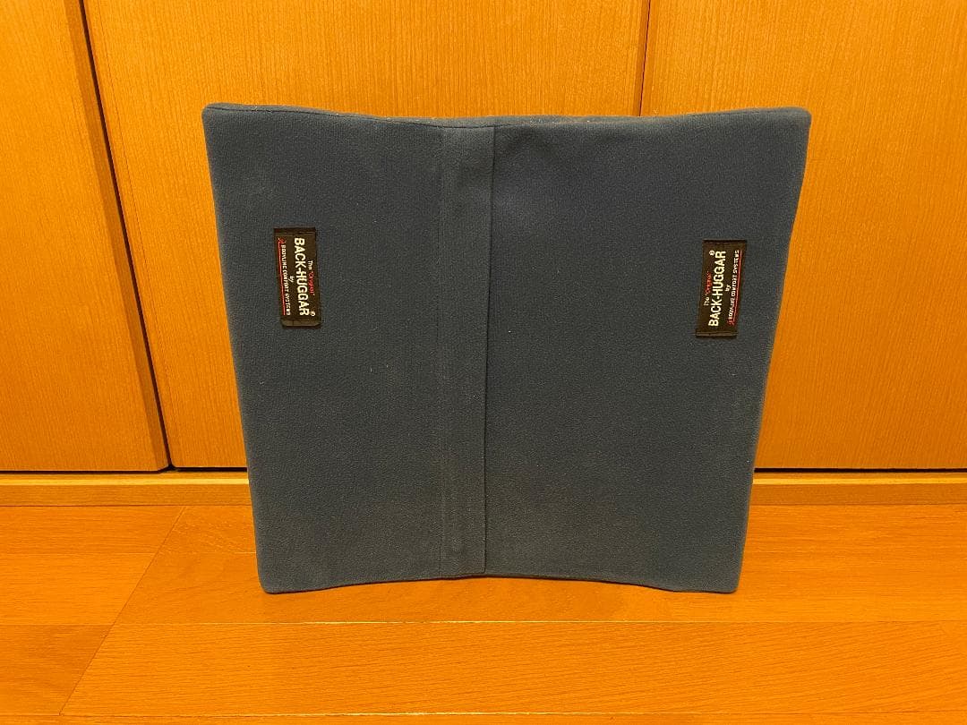 back huggar バックハガー　姿勢矯正　クッション　２点セット