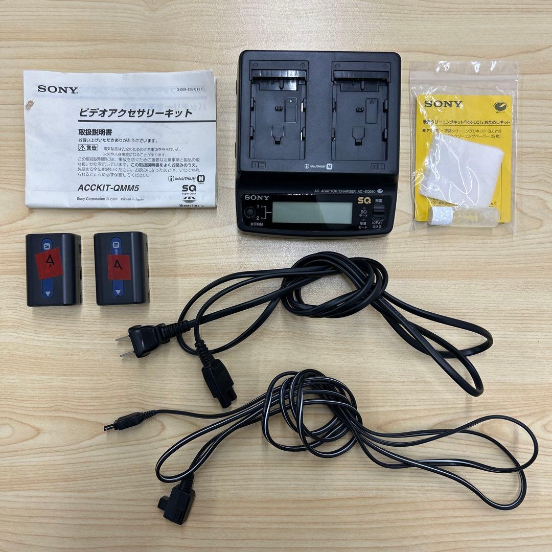 【稼動品】SONY Handycam DCR-TRV50 ビデオカメラ