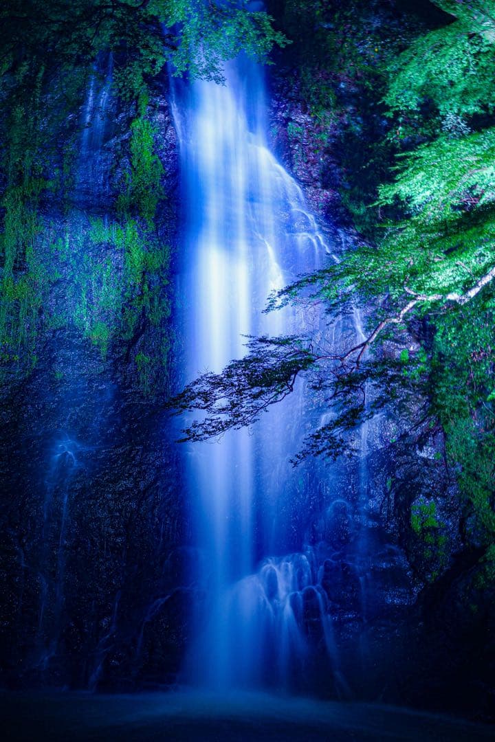 バラ売り可Canon EOS R6RF 24-105mm F4 50mmF1.8