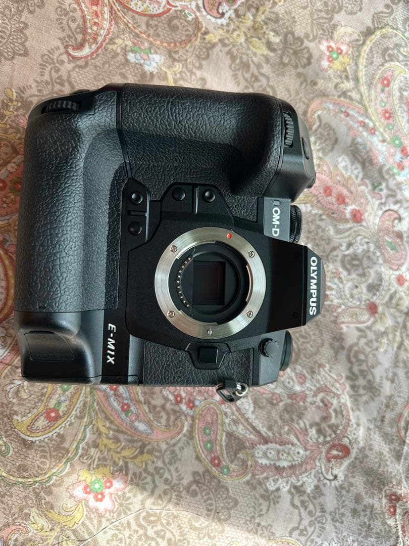 Olympus om-d e-m1x シャッター6350回