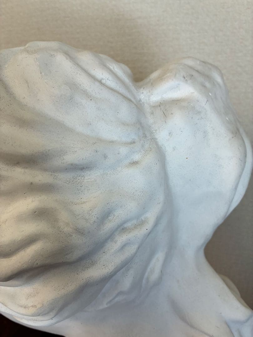 石膏像　ミロのヴィーナス　胸像　オブジェ　置物　美術　デッサン　アート　レトロ