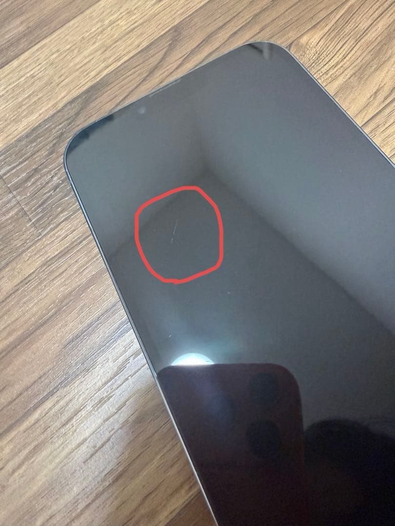 Apple iPhone 13 Promax 256gb シエラブルー