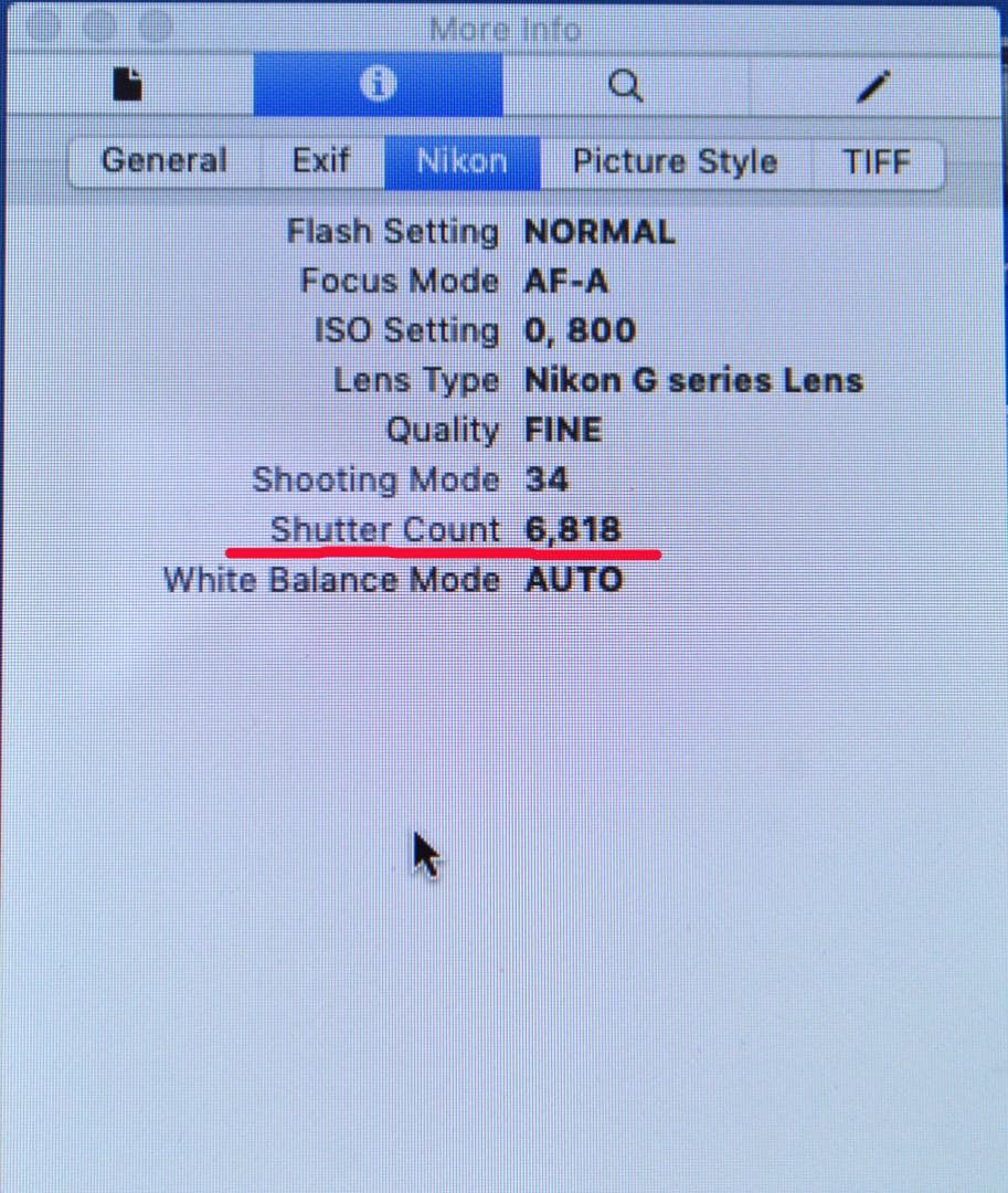Nikon D5000 バッテリー、充電器、ストラップ