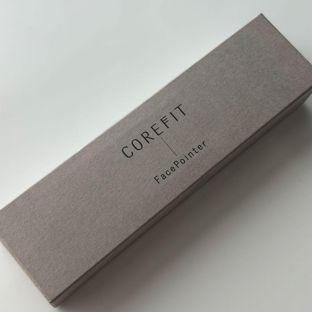 フェイスポインターpro サロン専売モデル テラヘルツ 箱付き