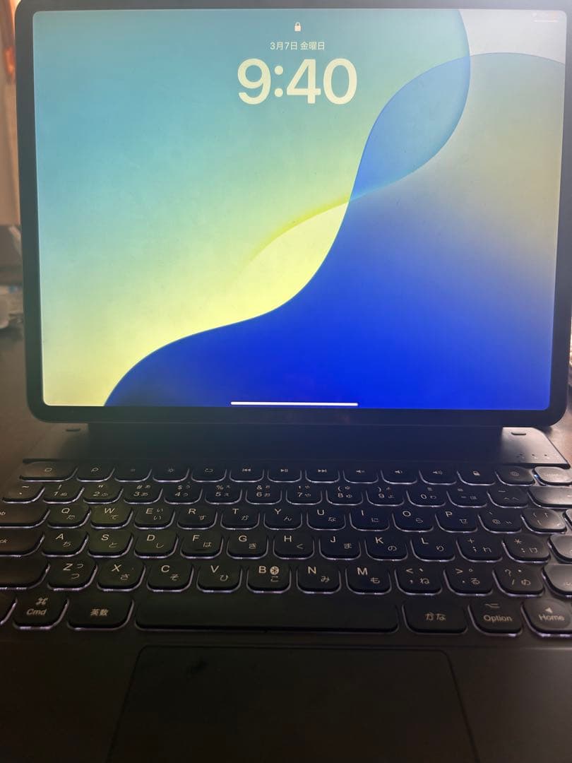 iPad Pro 12.9インチ　(第3世代) 購入意思ないいいね遠慮