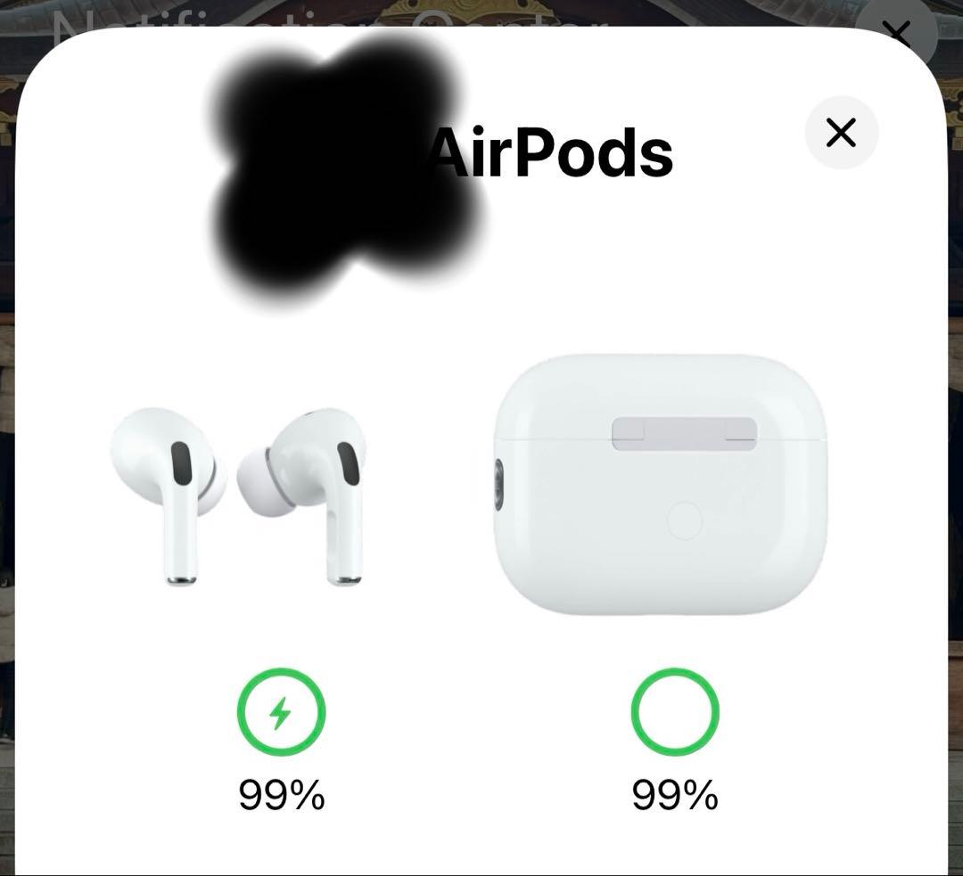 AirPods Pro 2（第二世代）ライトニングケーブル