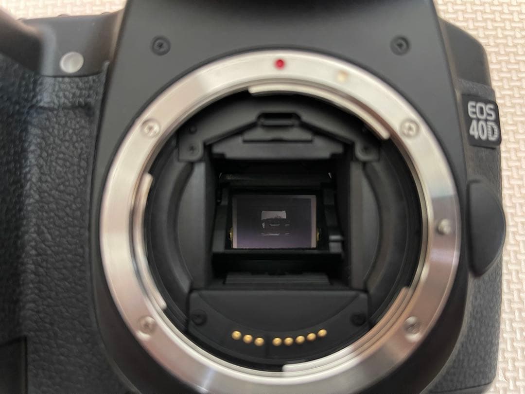 美品♪Canon EOS 40D デジタル一眼レフ　レンズ3本セット